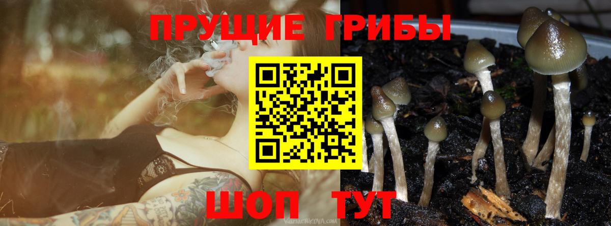 наркотики  Вход с VPN  Псилоцибиновые грибы MAGIC MUSHROOMS  Асбест  Псилоцибиновые грибы MAGIC MUSHROOMS 